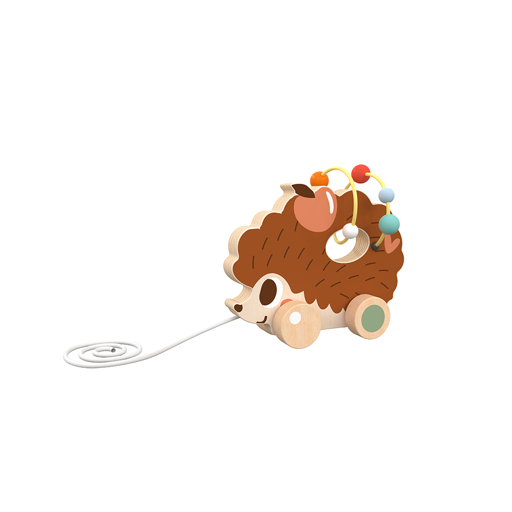 Wooden Pull Along Hedgehog Car