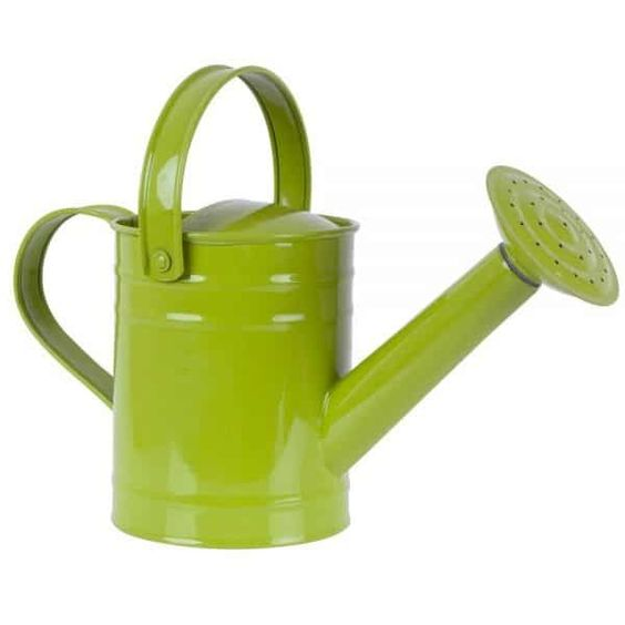 1.5L Kettle With Handle